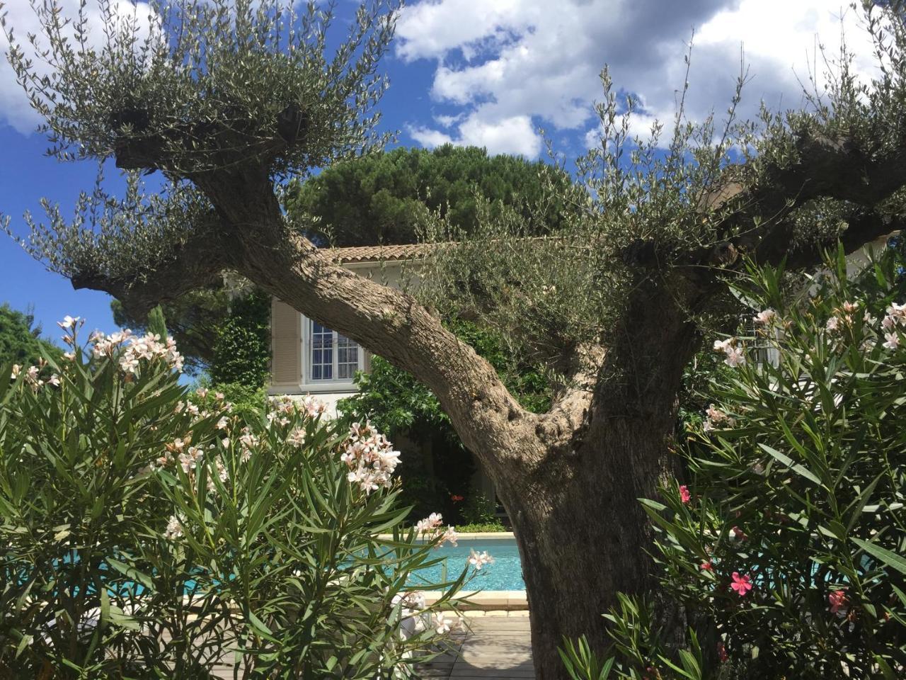 Villa La Begude - Boutique Luxury B&B Saint-Tropez Exterior foto